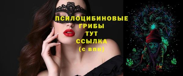 таблы Новоузенск