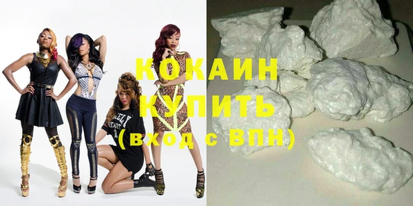 шишки Новоульяновск