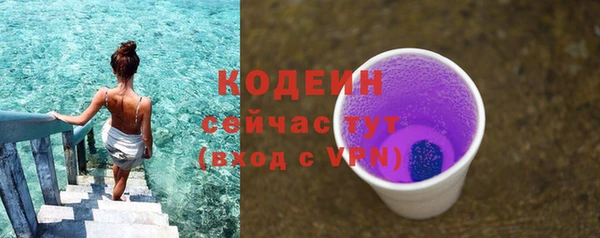 молекула духа Инсар